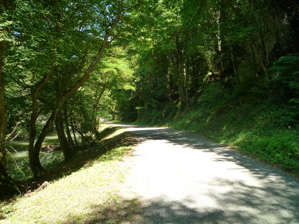 Nice road through gorge