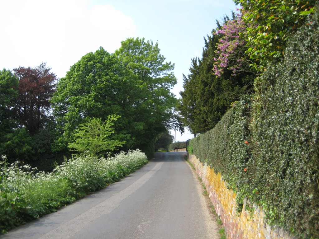 Country lane