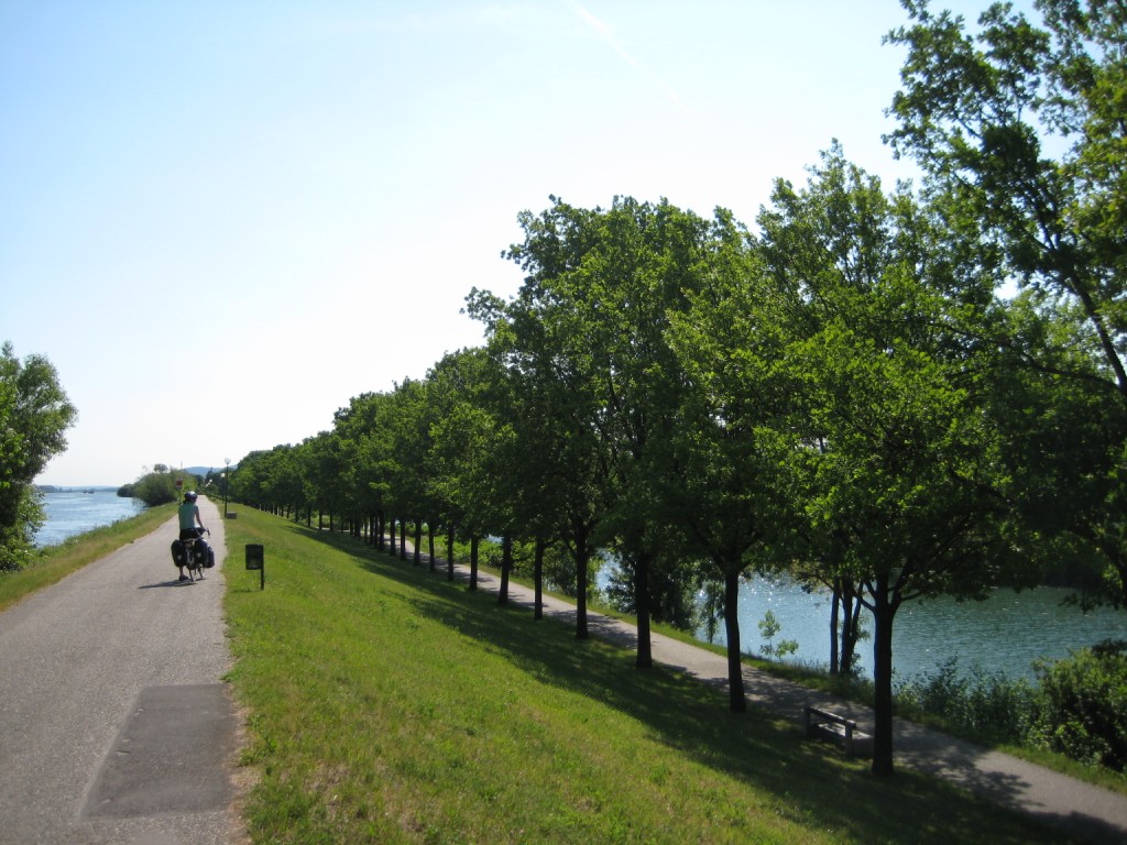 Danube path to Vienna