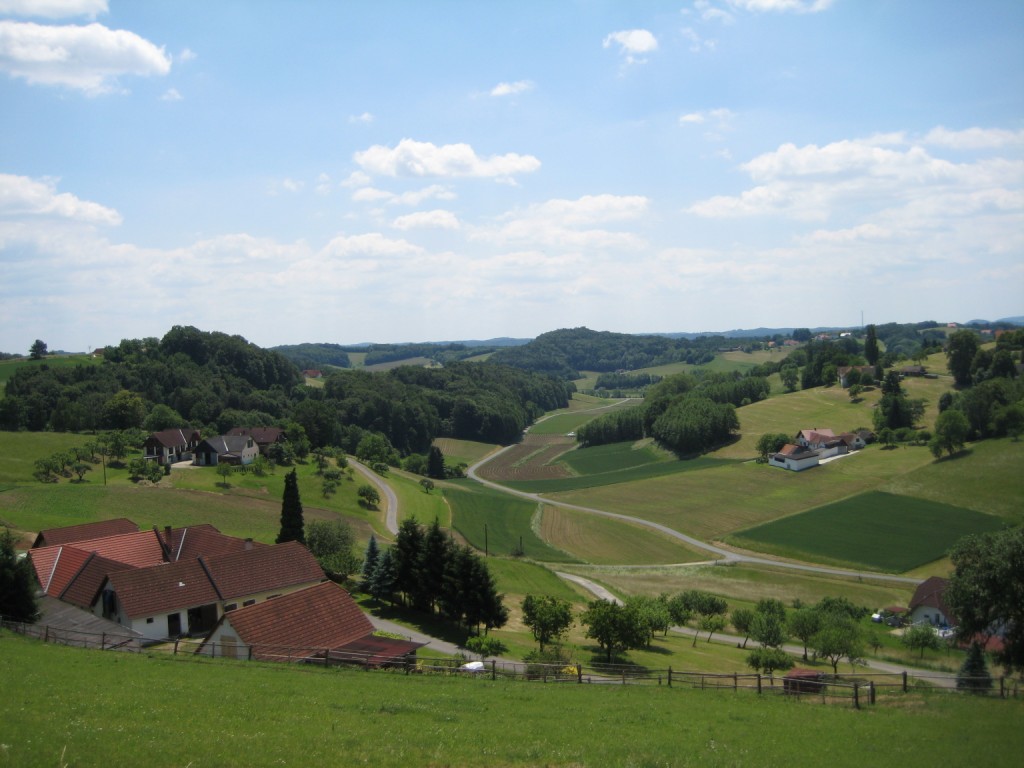 Vineyards