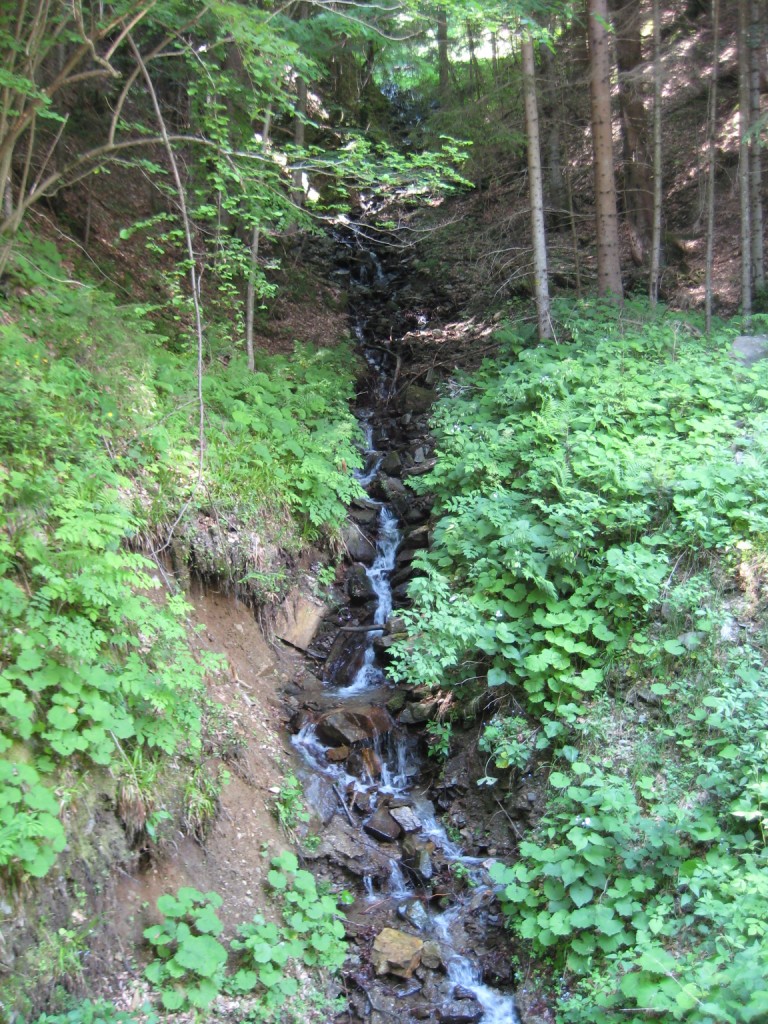 Mountain stream