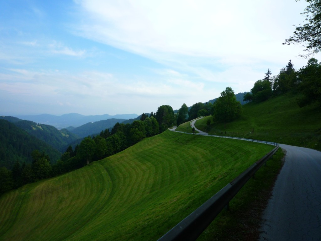 Freshly mown field