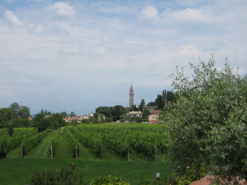 Vineyards