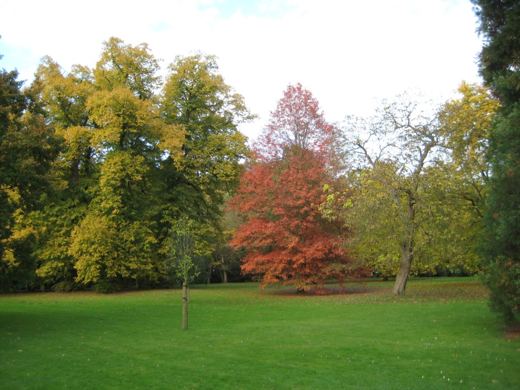 Autumn in Leuven