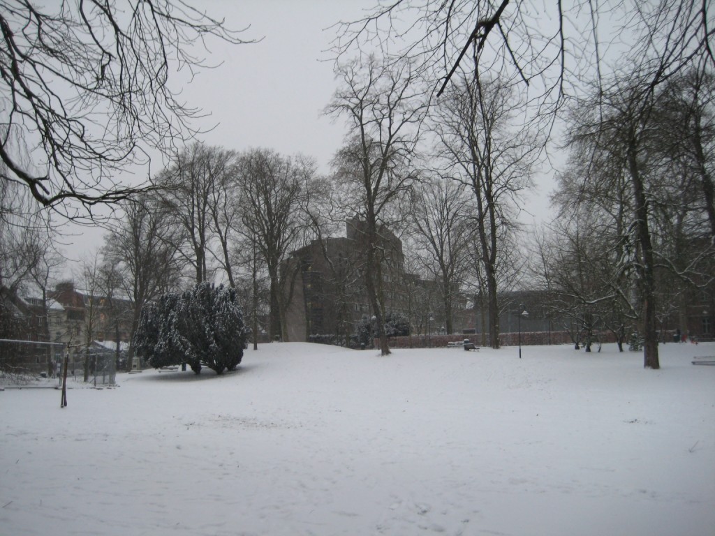 Snow in Leuven