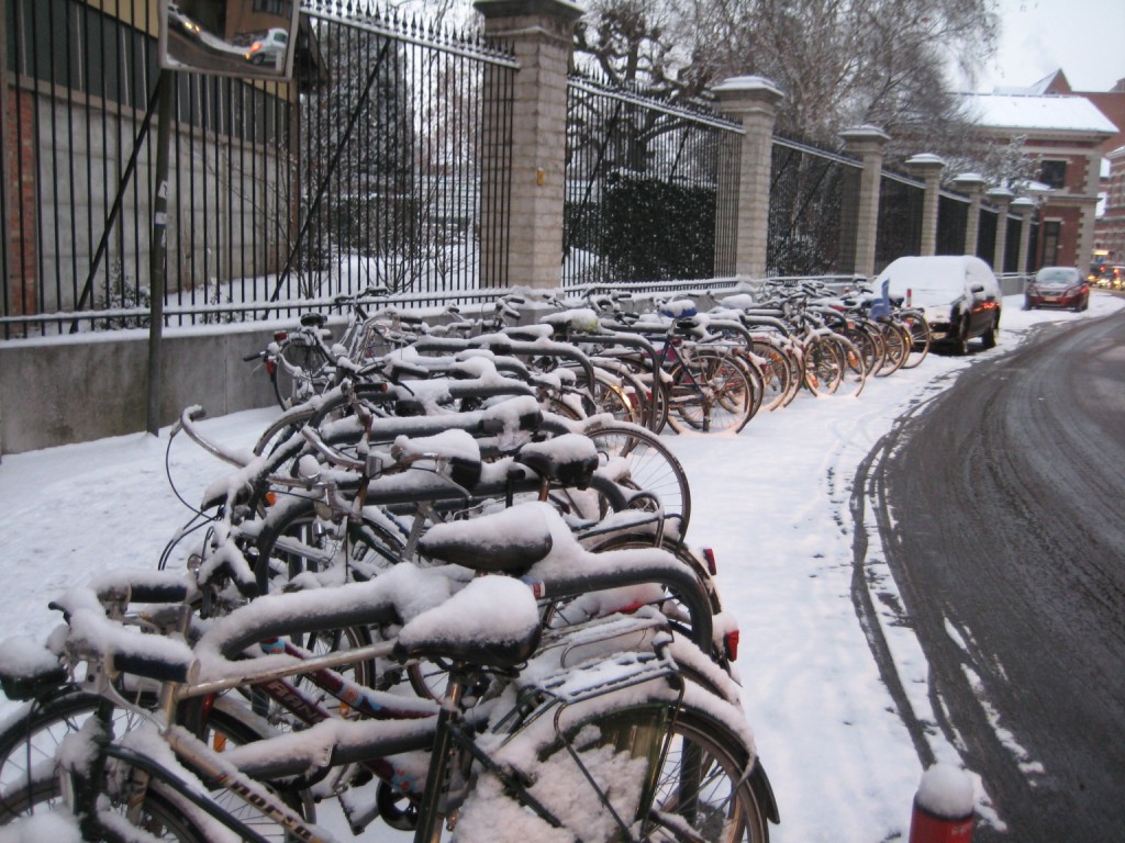 Bikes under snow