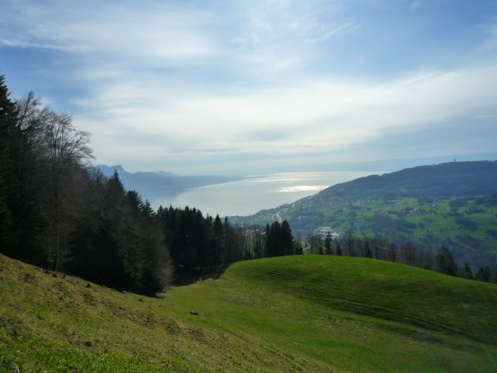 Alpine meadows