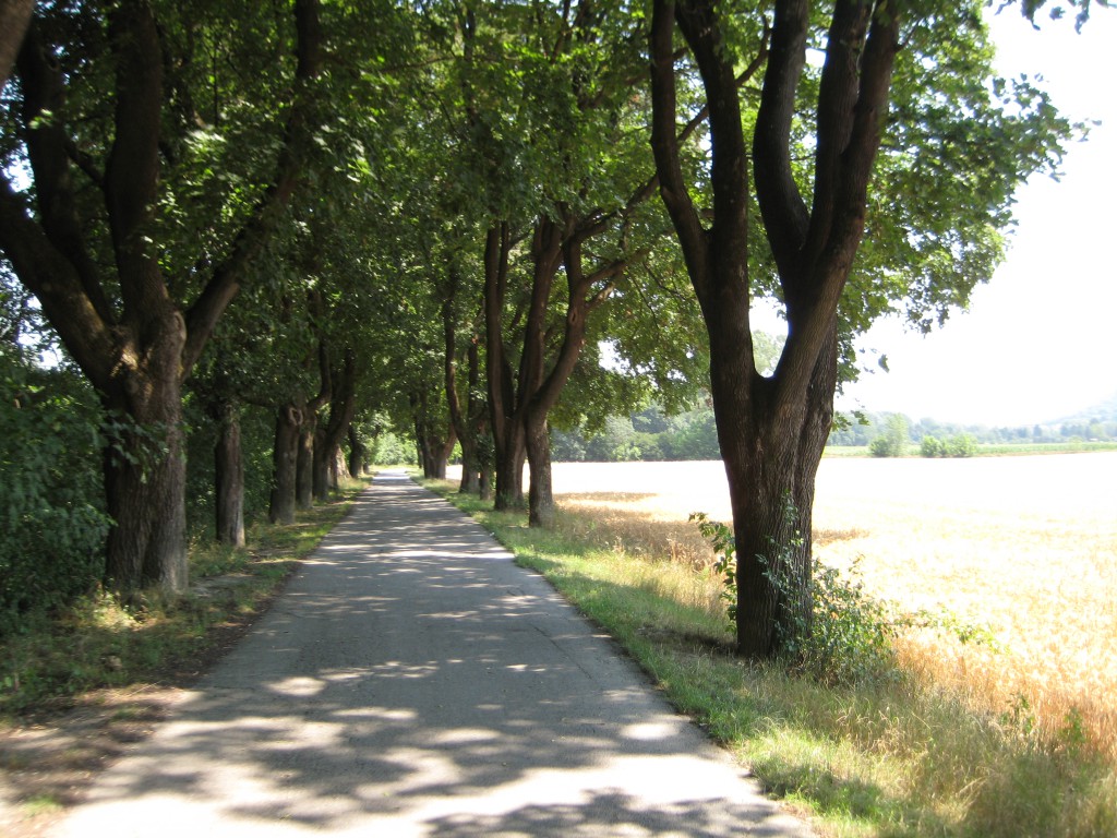 Cycle path near Hainburg, Austria