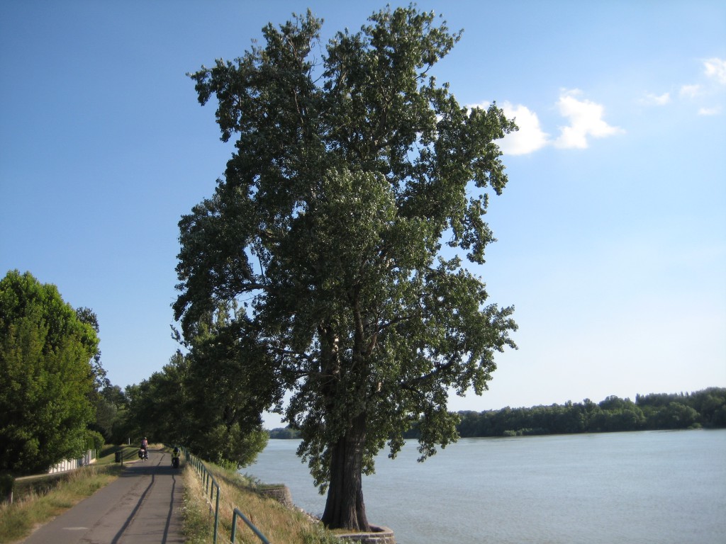 Cycling along the Danube in Hungary