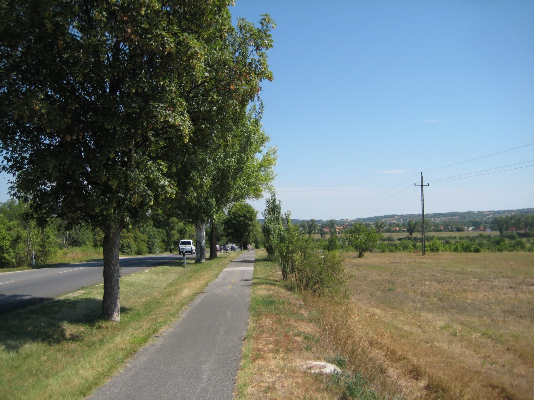 Cycling along the main road