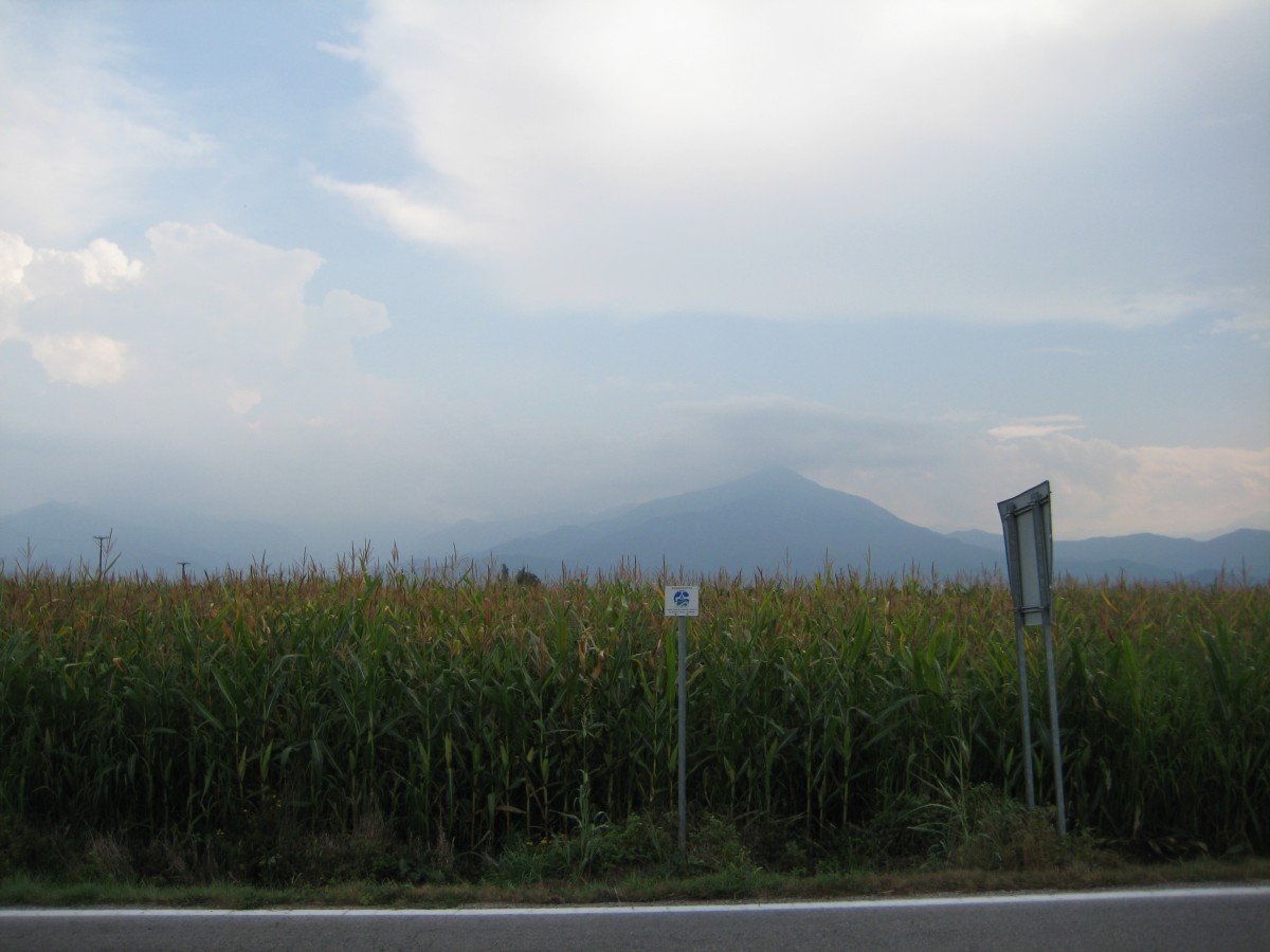 Clouds above corn field